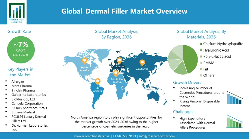 Dermal Filler Market Overview